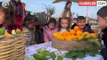 Tarsus Belediyesi Tarım Yaşam Alanında Portakal Hasadı