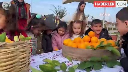 Tarsus Belediyesi Tarım Yaşam Alanında Portakal Hasadı