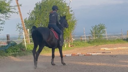 Woman trying to ride a horse gently ends up falling on her back *Epic Fail*