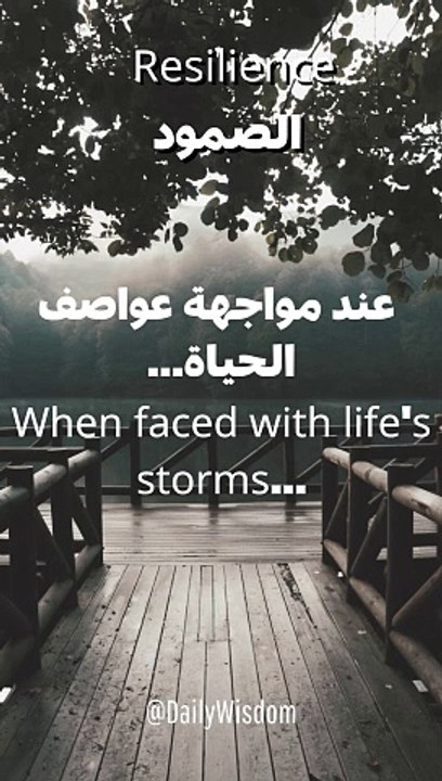 السعادة الحقيقية