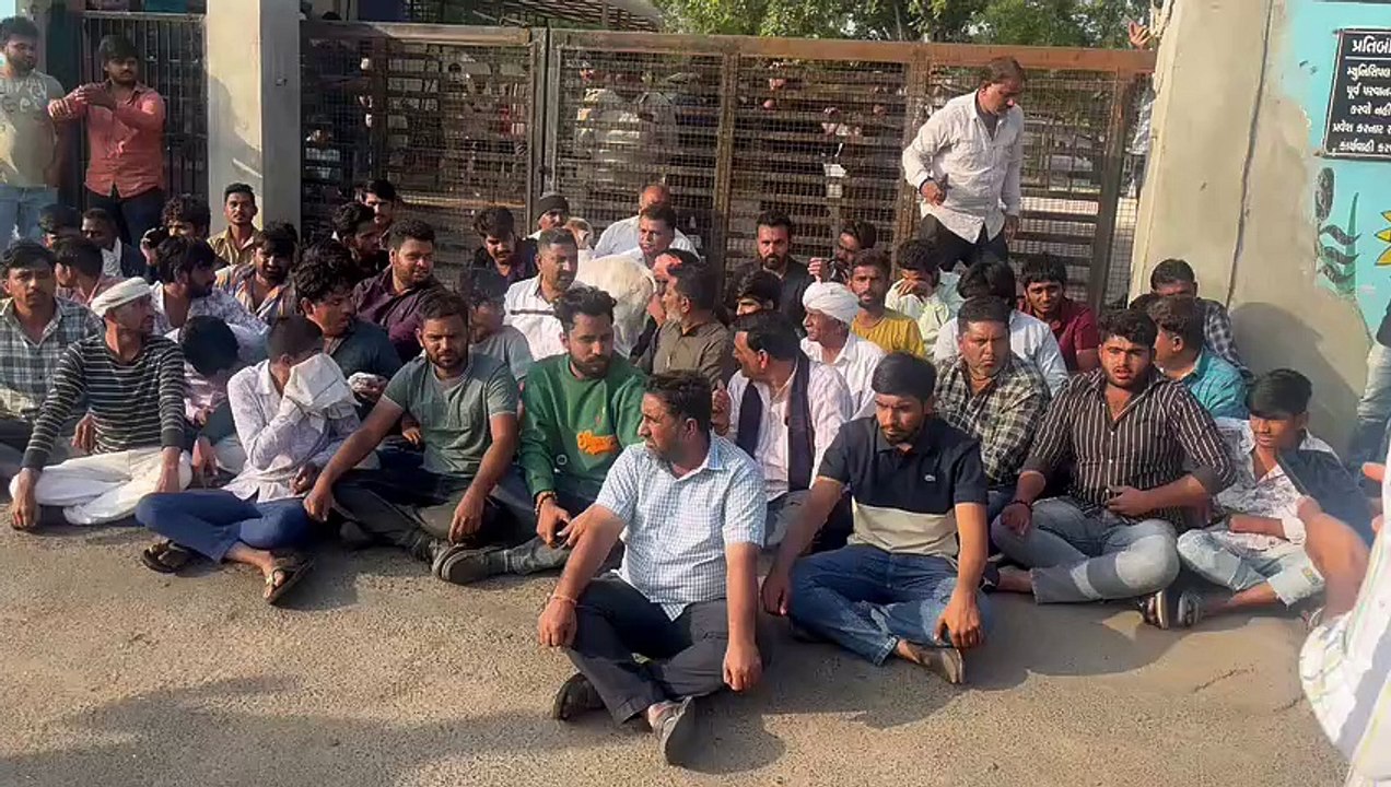 अहमदाबाद: ग्यासपुर के निकट मृत अवस्था में मिली गाय, पशुपालकों का हल्लाबोल