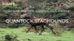 Quantock Staghounds filmed by hunt saboteurs