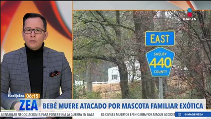 Bebé muere atacado por un perro lobo en Alabama