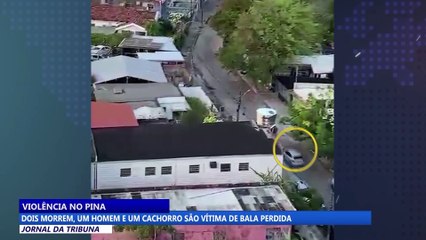Violência no Pina: dois morrem, um homem e um cachorro são vítimas de bala perdida