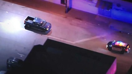 Reversing pickup truck leads police on bizarre chase through Los Angeles