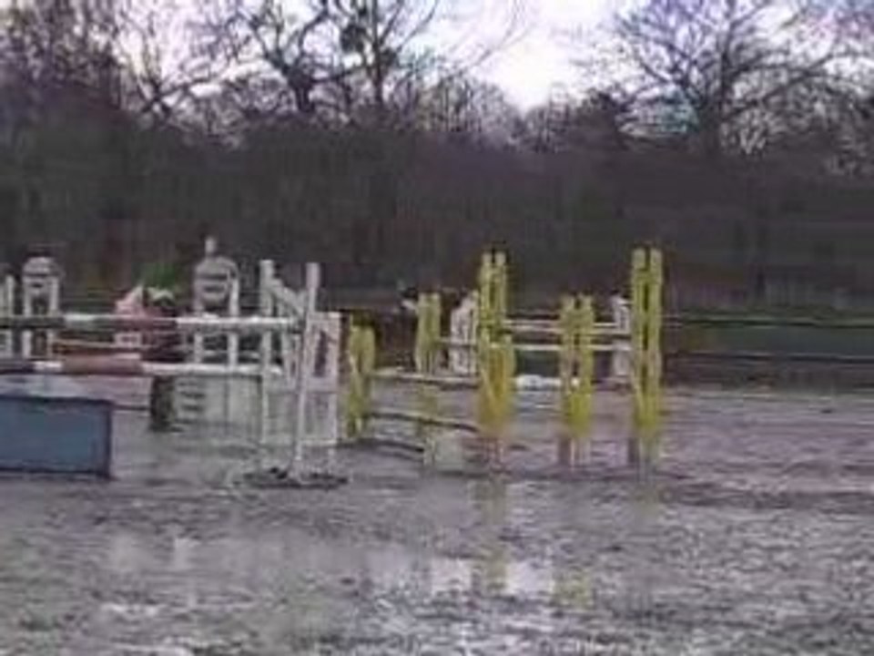 Népheline du reuil D1P,GP lamballe 1er tours (1ère)