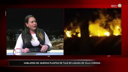 Asegura la diputada Erika Ramírez que nada tienen qué ver con ecocidio en la laguna de Atotonilco.
