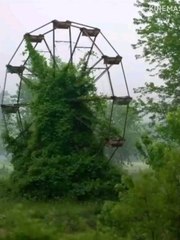 عندما يغيب الانسان عن المكان تسترده الطبيعه