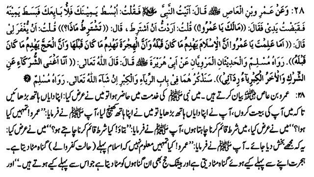 AMAR IBN AAS NY BAIT KY DORAN HATH WAPIS KION KHENCHA (28)