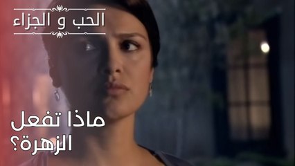 ماذا تفعل الزهرة؟ | مسلسل الحب والجزاء  - الحلقة 25