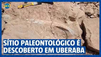 Descoberta de sítio paleontológico em Uberaba mobiliza comunidade científica