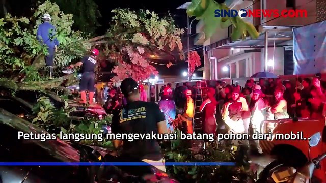 3 Mobil Tertimpa Pohon Tumbang Usai Hujan Disertai Angin Kencang di Bogor