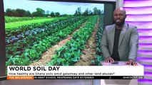 World Soil Day: How healthy are Ghana soils amid galamsey and other land abuses? - The Big Agenda on Adom TV (5-12-23)