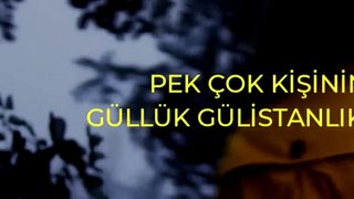 Unutma herşeyi yapabilirsin,yeter ki KORKMA! Kalbin Gücüyle Herşeyi Başarabilirsin #motivasyon