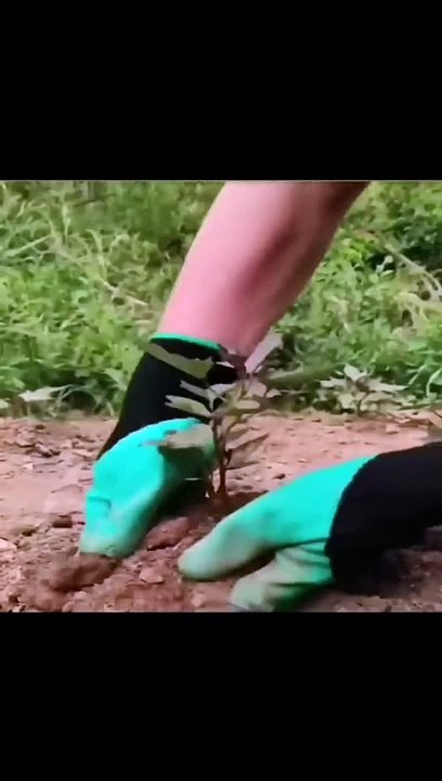 strange inventions