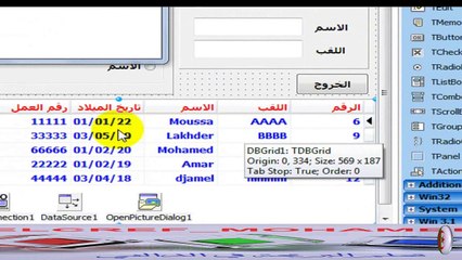 أهم التنسيقات على بعض  المكونات والعناصر  في لغة الدلفي - الدرس الثامن -