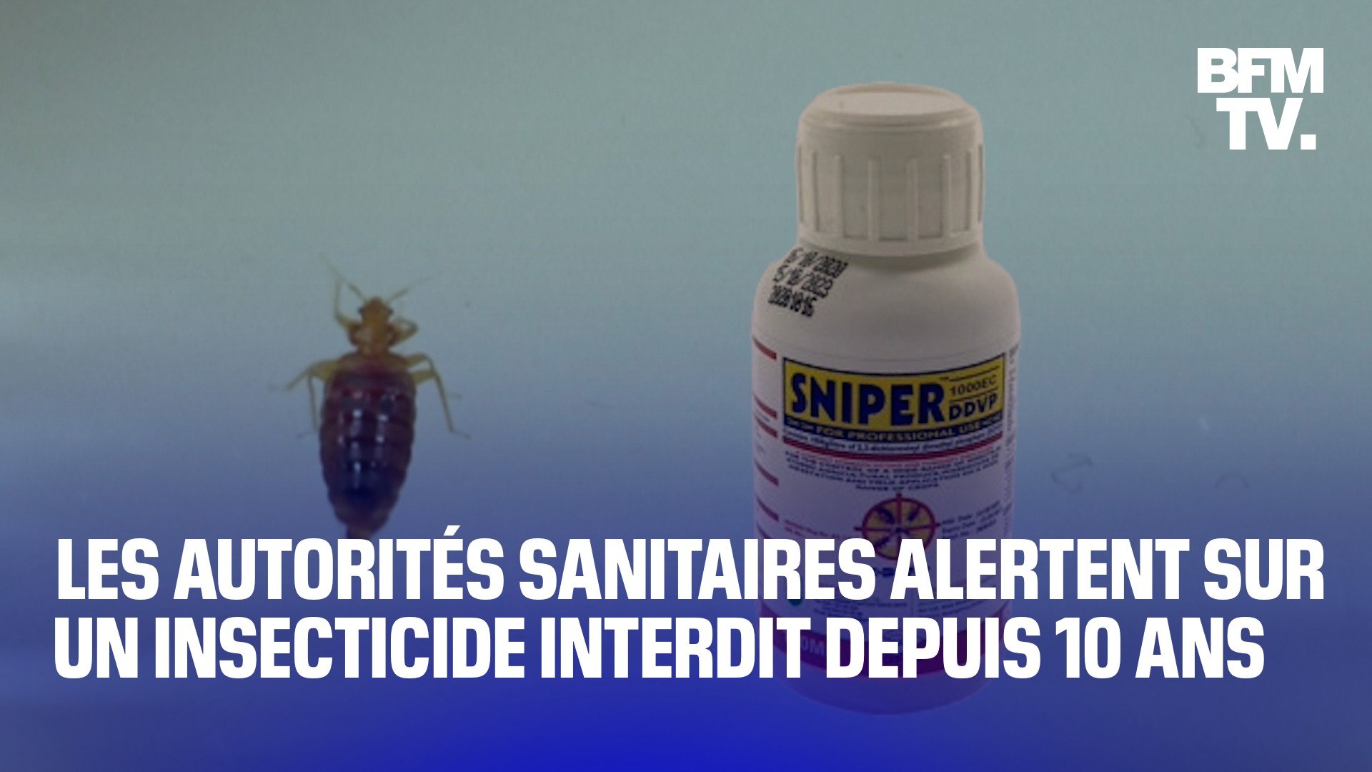 Punaises de lit: l'Anses alerte sur l'insecticide Sniper, responsable de  plus de 200 intoxications depuis 2018 - Vidéo Dailymotion
