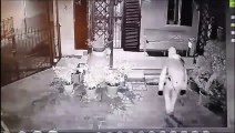 Ladri in una casa a Ginestra Fiorentina: cos? entrano nel giardino, li riprendono le telecamere