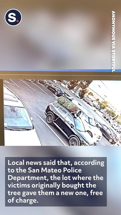 Christmas Tree Stolen From Top of Parked Car in California Shopping Center