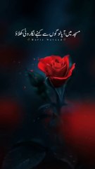 Hazrat_Fuzail_Bin_Ayaz_ؓ__farmaty_hain_ek_jawan_tha____Ajmal_Raza_Qadri_#shorts(720p)