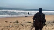Côte d'Ivoire : Un crocodile en visite sur une plage (VIDEO)