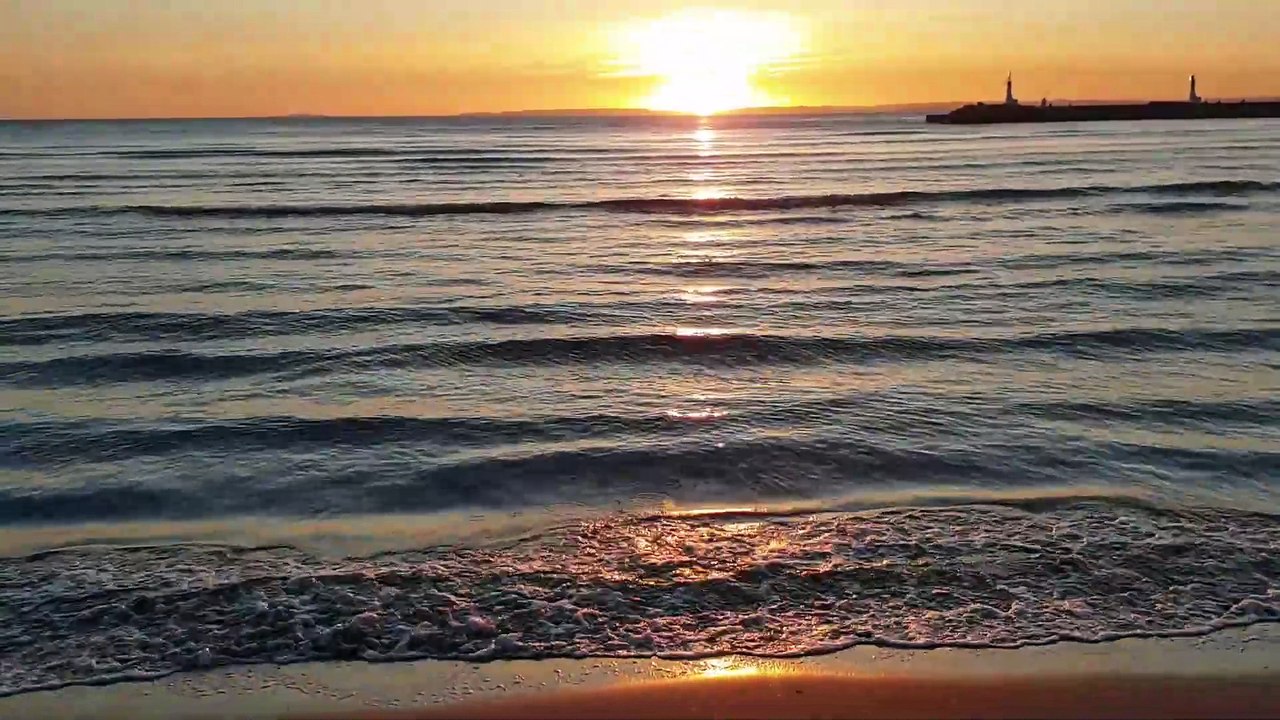 Magique Coucher de Soleil avec Apparition Surprenante de Dauphin