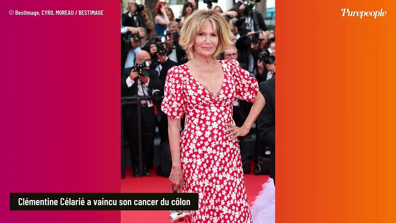 Clémentine Célarié, métamorphosée depuis le cancer : ces "vrais partenaires" dont elle ne peut plus se passer