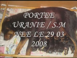 PORTEE URANIE /  S.M NEE LE 29 03 2008