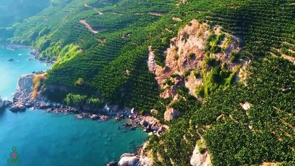 Restoration of the nervous system Gentle music soothes stress and pleases the soul