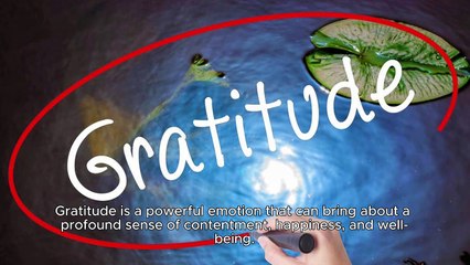 The Art of Gratitude Finding Joy in the Little Things