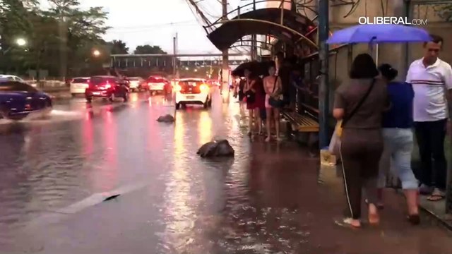 Belém registra temporal com ventos fortes, queda de árvore e pontos de alagamentos