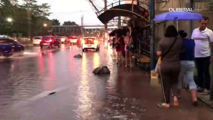 Belém registra temporal com ventos fortes, queda de árvore e pontos de alagamentos