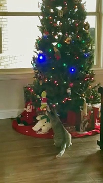 Kitty Claims The Grinch
