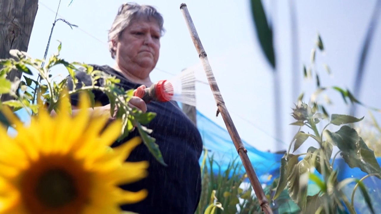 SA Water plan to increase bills above inflation 'stressful' for households absorbing rising costs