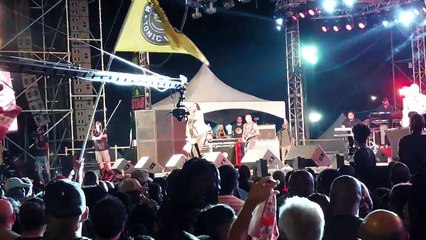 COTT: WE ARE FUNCTIONING