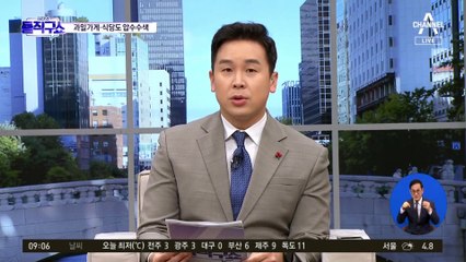“이재* 청담동 일제 샴푸”…구매대행 업체의 홍보 글