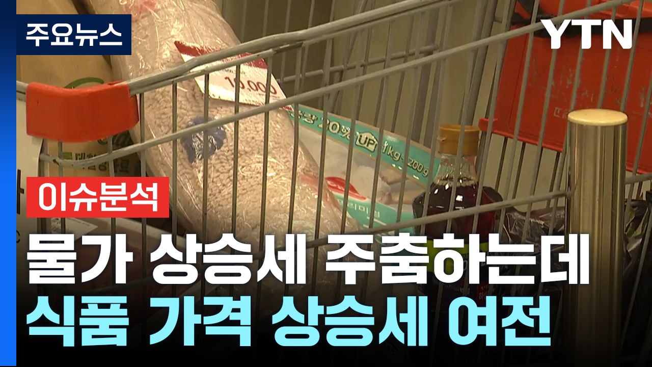 [뉴스라이브] 물가 상승세 주춤하는데...농산물 가격 여전히 불안 / YTN