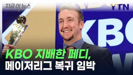 "KBO 지배한 페디, 빅리그 복귀한다"...차기 행선지는? [지금이뉴스] / YTN