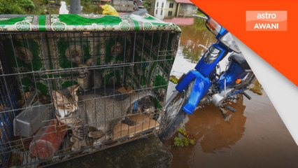 Mangsa terjejas di Kelantan semakin menurun