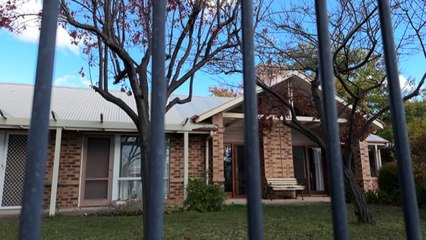 Police officer accused of tasering Nowland faces court