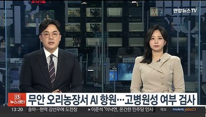 무안 오리농장서 AI 항원…고병원성 여부 검사