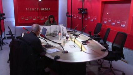 Grippe aviaire : "Dans les 24 à 48 heures, l'ensemble des dindes d'un élevage contaminé vont mourir"