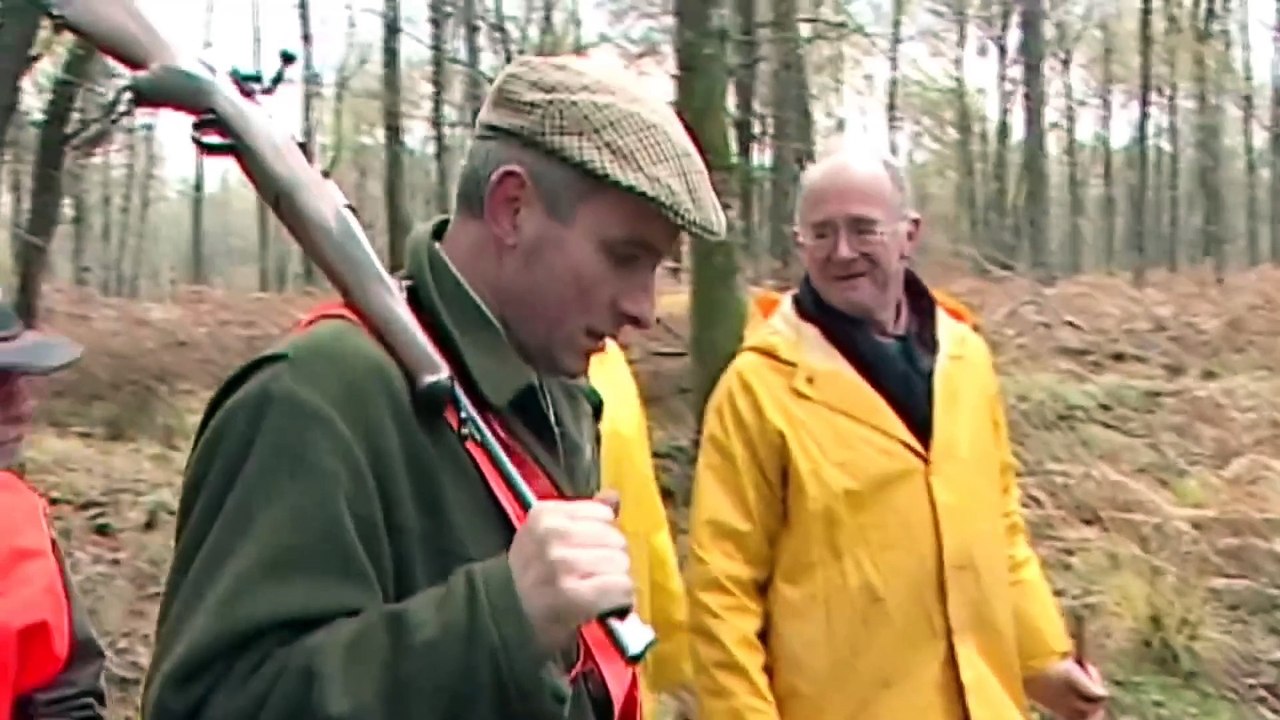Deer and Wild Boar Hunting in France