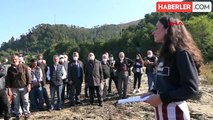 Trabzon'da Deniz Ekosistemine Zarar Vereceği İddiasıyla Tesis Projesi Yargıya Taşındı