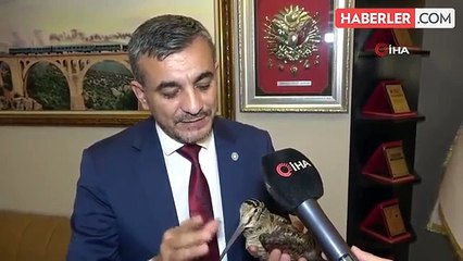 Nadir Görülen 'Sibirya Suçulluğu' Adana'da Yaralı Bulundu