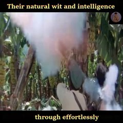 Their natural wit and intelligence shine through effortlessly.