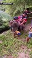فيديو: مقتل 17 شخصاً إثر سقوط حافلة من أعلى جبل في وسط الفلبين