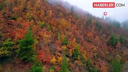 Uludağ'da renk cümbüşü