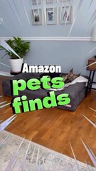 Amazon Pets Finds
