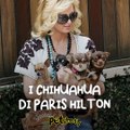 Tutti gli animali di Paris Hilton